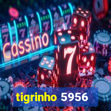 tigrinho 5956